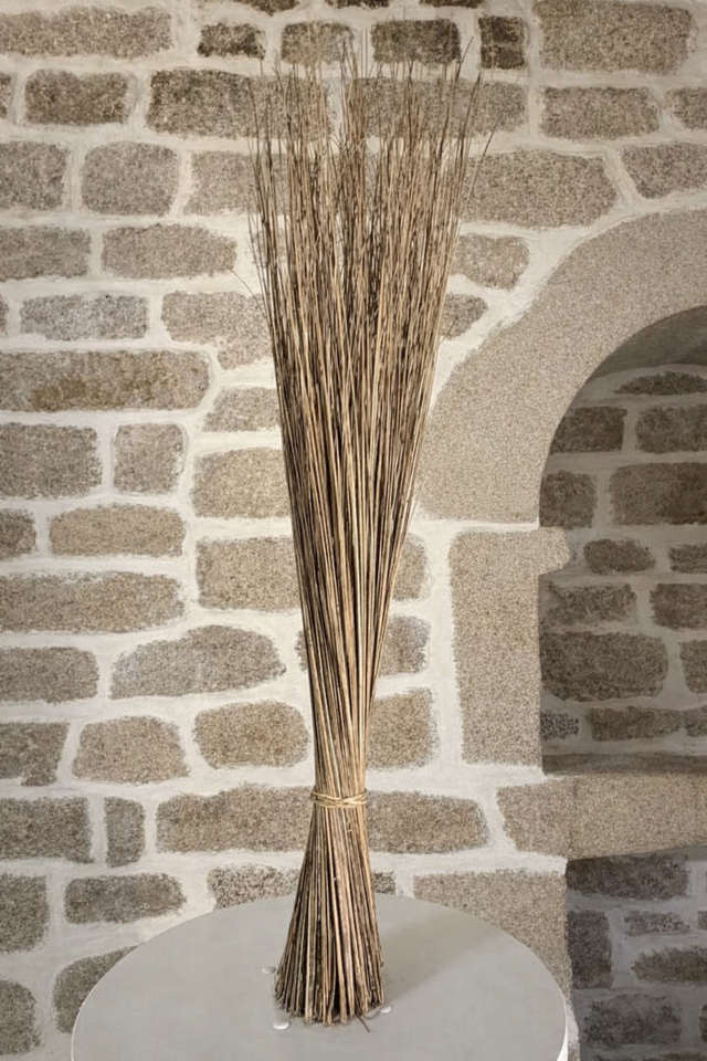 Tingting - Sweeping Broom Walis Tingting